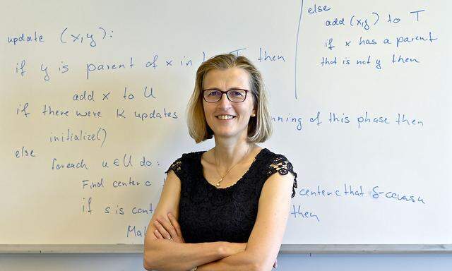 Monika Henzinger kann dank Wittgenstein-Preis  1,5 Millionen Euro für ihre Forschungsdisziplin einsetzen.