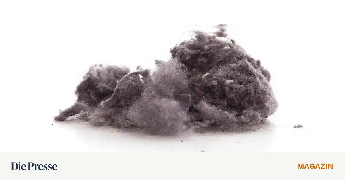 Staub ist unbesiegbar – DiePresse.com