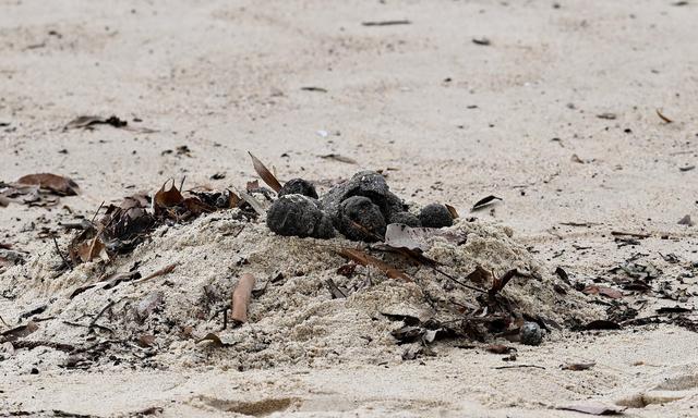 Schwarze Kugeln Strand Sydney - Figure 1