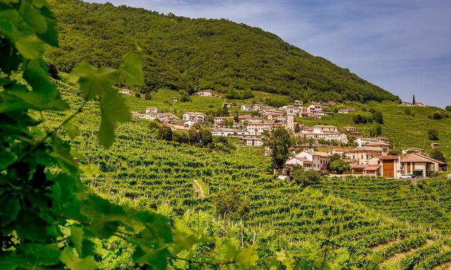 Im vergangenen halben Jahrhundert ist in Italien eine landwirtschaftliche Fläche so groß wie ganz Österreich verschwunden.