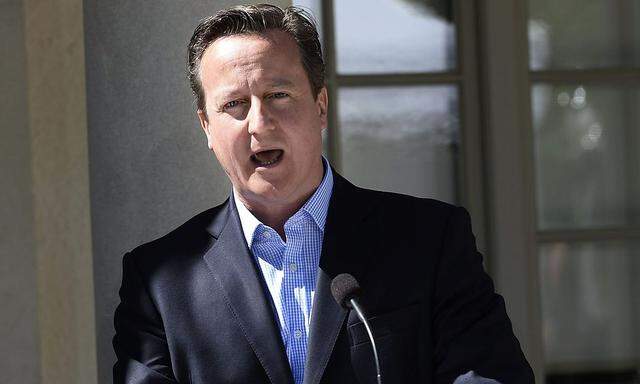 British PM Cameron speaks during a news conference at Swedish PM Reinfeldt's summer residence in Harpsund, south of Stockholm