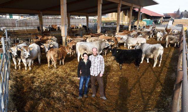 Julia und Vinzenz Harbich halten im Marchfeld rund 280 Rinder, die von April bis Oktober auf der Weide leben. Die Tiere kommen auf dem Biohof zur Welt und werden dort geschlachtet.