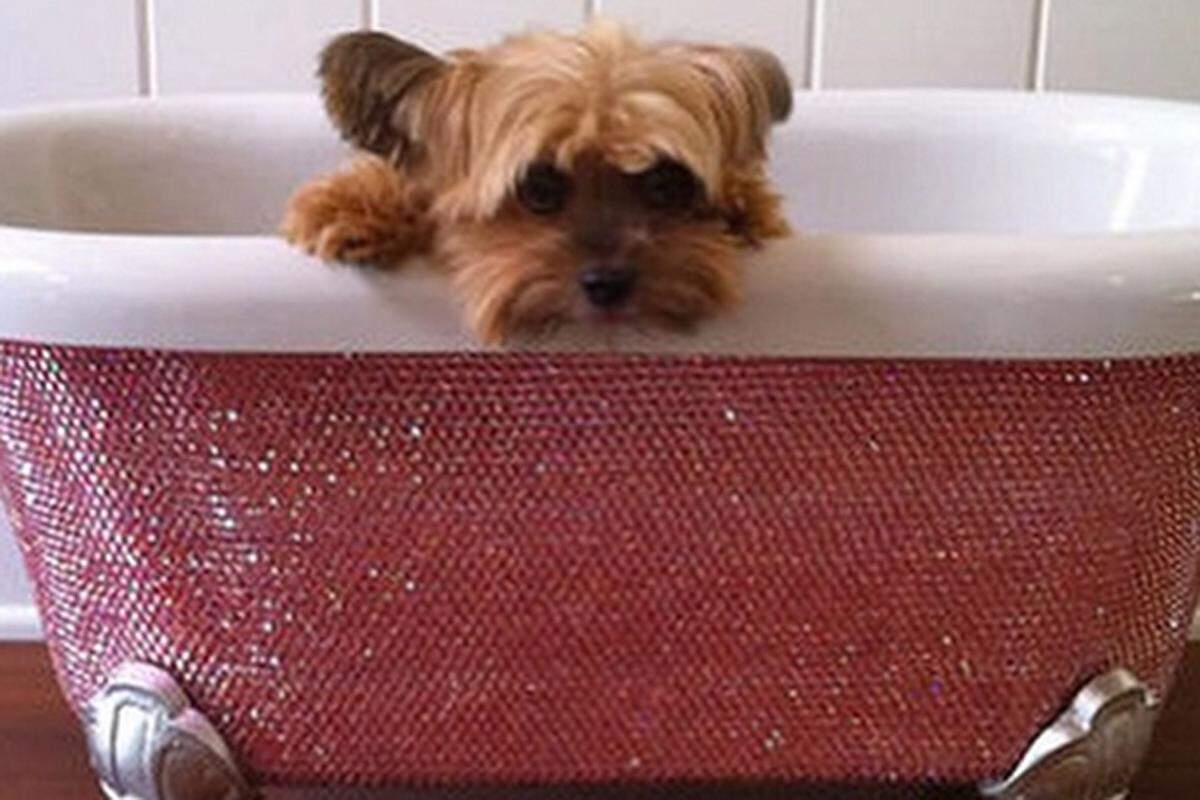 Schlammpfütze war gestern. Der Hund von Welt badet edel: Die US-Künsterlin Lori Gardner kreierte diese Luxus-Badewanne für Hunde, auf die insgesamt 44.928 rosa Swarowski-Steinchen per Hand geklebt wurden.