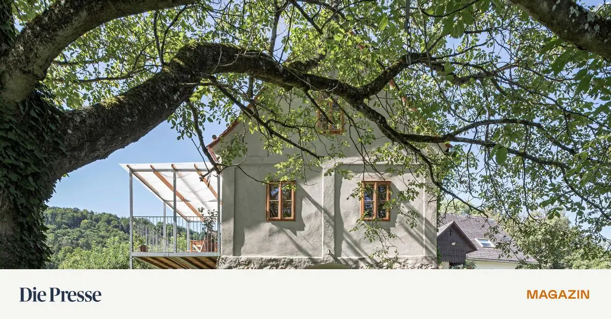 S-dsteiermark-Das-wachgek-sste-Weinst-ckl-premium-