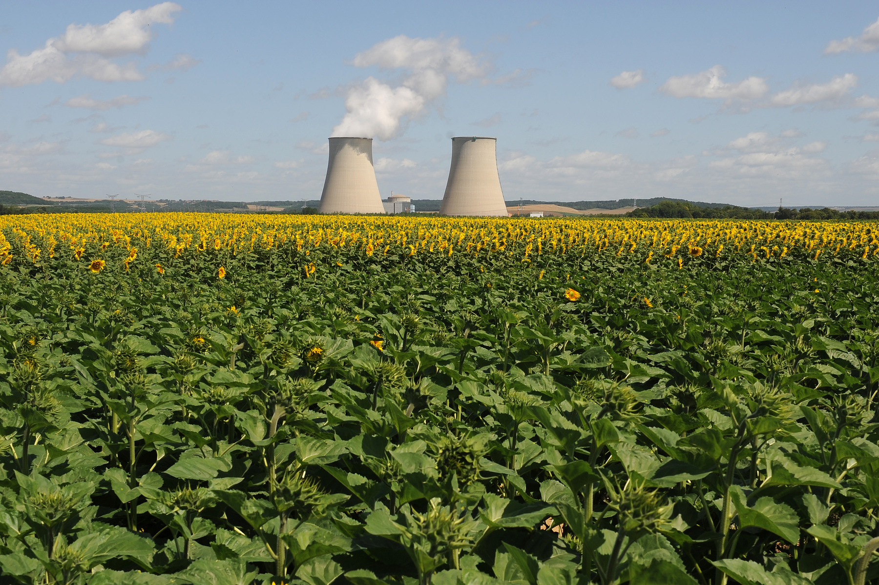 Nuclear Power's Resilience Amidst European Heatwaves