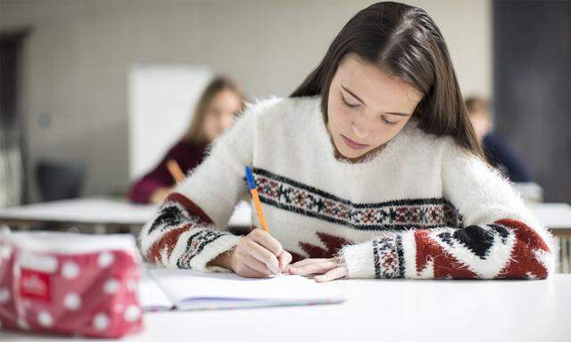 Schüler beschweren sich, weil sie die Deutsch-Reifeprüfung nicht wie vorgesehen am Computer schreiben konnten.