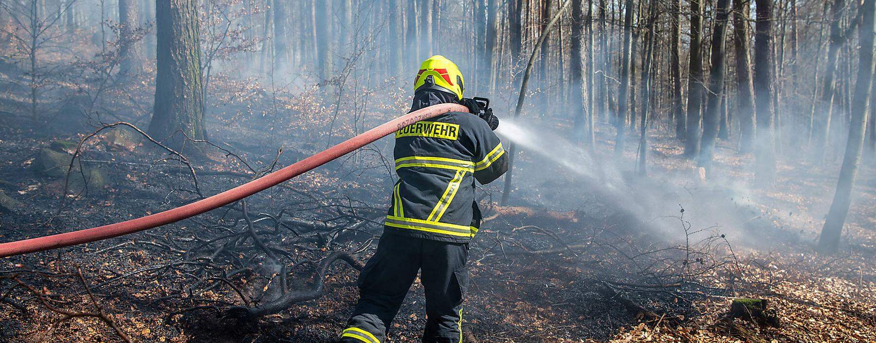 Waldbrandgefahr, 05.04.2020, im Rochlitzer Bergwald kommt es an einem Wanderweg zu einem kleinen Waldbrand. Auf einer F