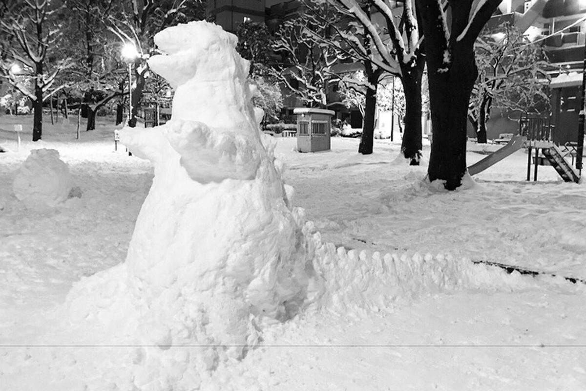 Das klingt nicht viel. Doch was in anderen Regionen der Welt nur für müdes Lächeln sorgt, ist in der Stadt, die ungefähr auf demselben Breitengrad wie Zypern liegt, ein echtes Ereignis. Der Schneefall lehrt sogar "Snowzilla" das Fürchten.