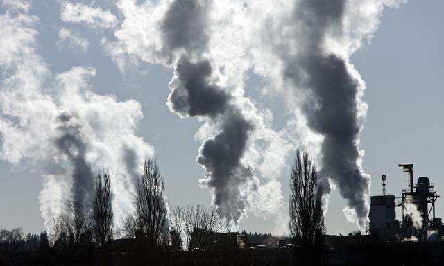 Belastung der Umwelt durch Industrieabgase