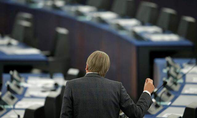 Belgiens liberaler EU-Abgeordneter Guy Verhofstadt hat lukrative Nebeneinkünfte aus seiner Tätigkeit für einen grünen Investmentfonds. 