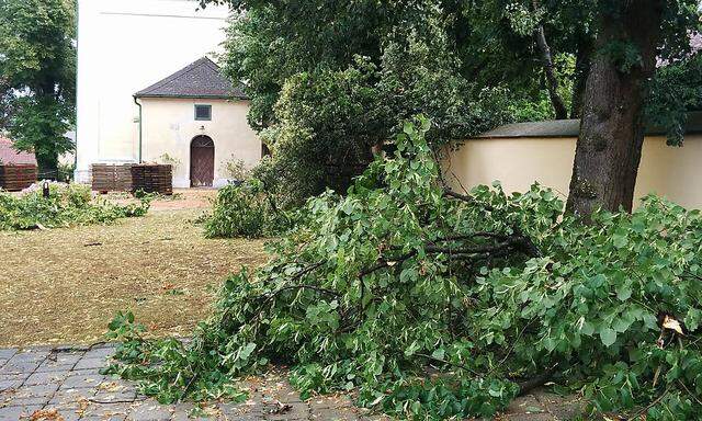 Etliche Bäume wurden umgerissen, Dächer von Häusern beschädigt