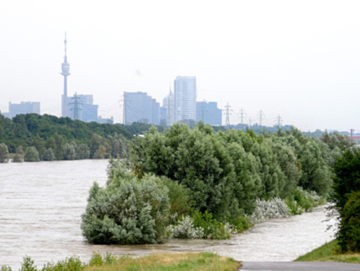 So drastisch würde das Klikovits selbst zwar nicht formulieren, auch wenn er der Mann war, der in den vergangenen Tagen entschieden hat, wie viel Wasser in die Neue Donau abgeleitet wird, um den Pegel der Donau zu senken und Überschwemmungen zu verhindern.