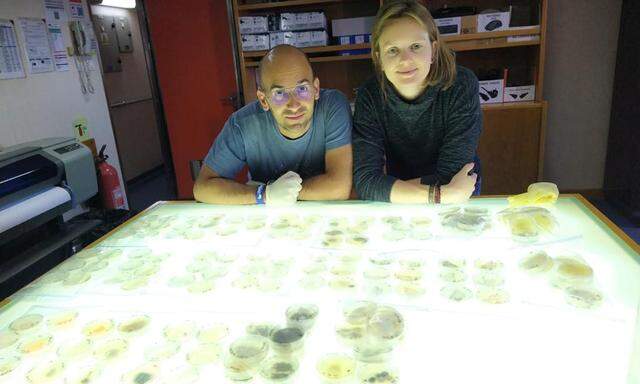 Eva Breyer und Federico Baltar Gonzalez von der Uni Wien holen bei Exkursionen über den gesamten Atlantik Wasserproben mit Pilzen.