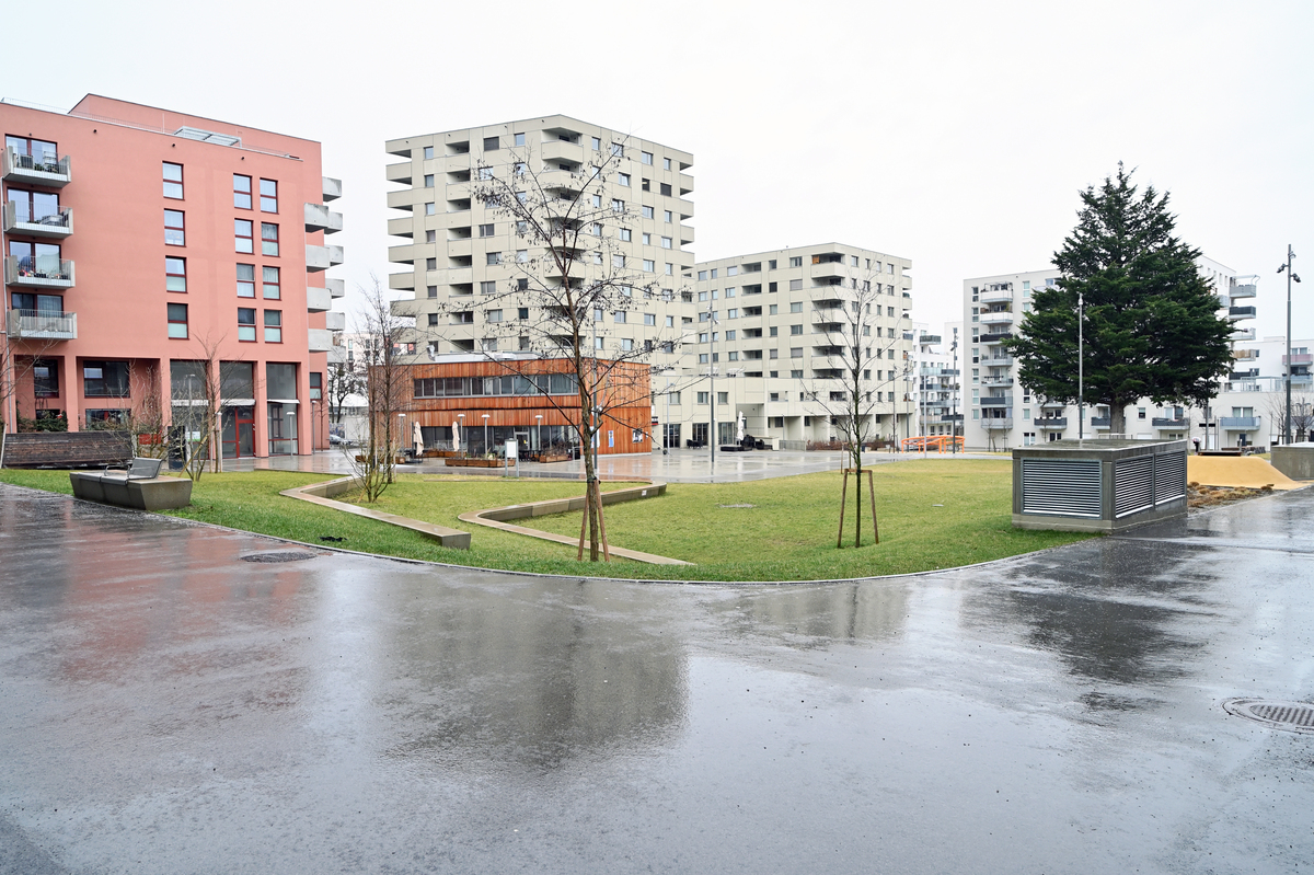 Der Bestand der Ersatzbäume soll länger gesichert werden.