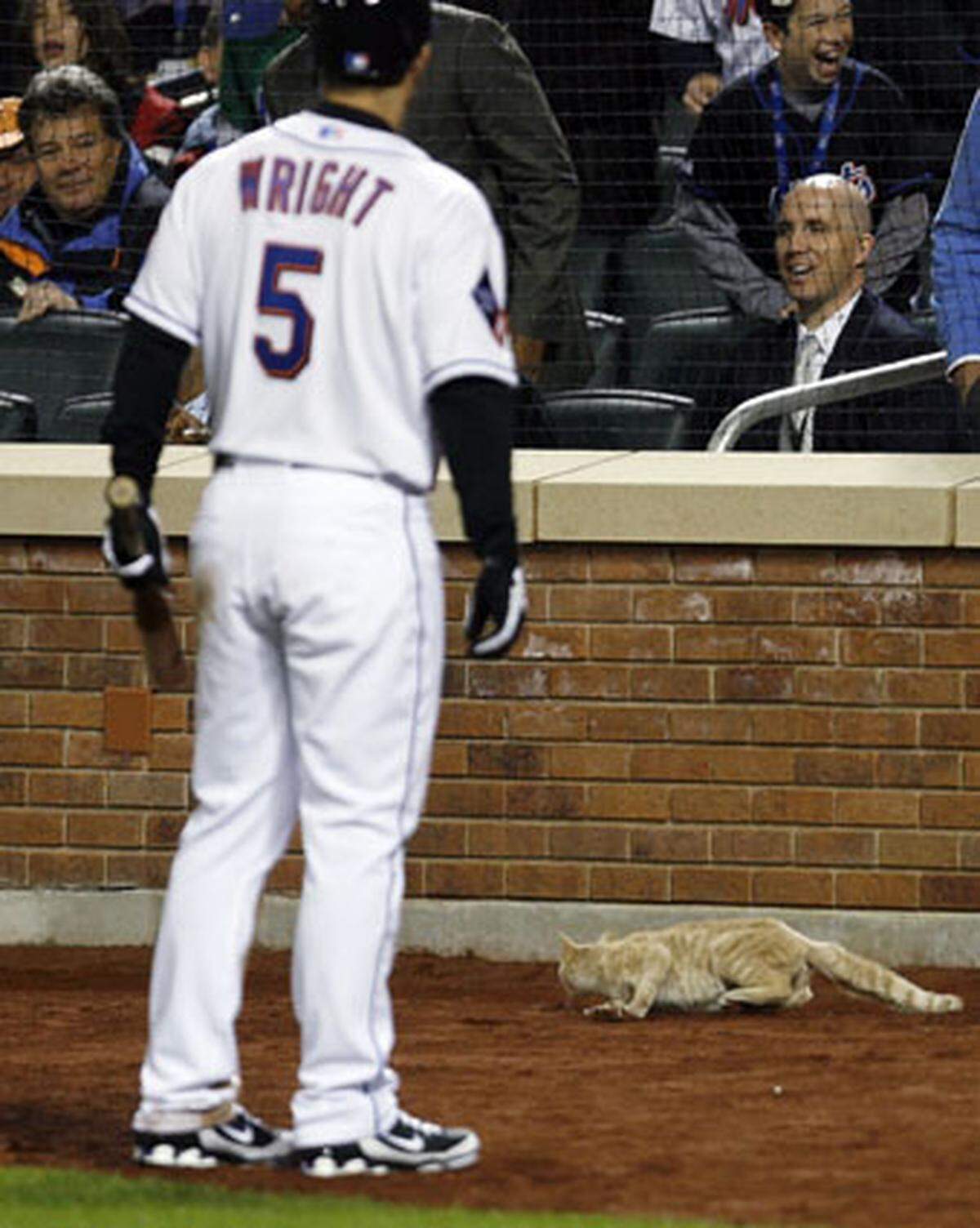 Auch Baseball-Star David Wright ist etwas skeptisch angesichts dieses tierischen Gastes. Die Situation konnte aber ohne Schläger friedlich bereinigt werden.