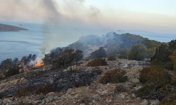 Ein Bild eines durch Waldbrand beschädigten Gebiets auf der griechischen Insel Hydra.