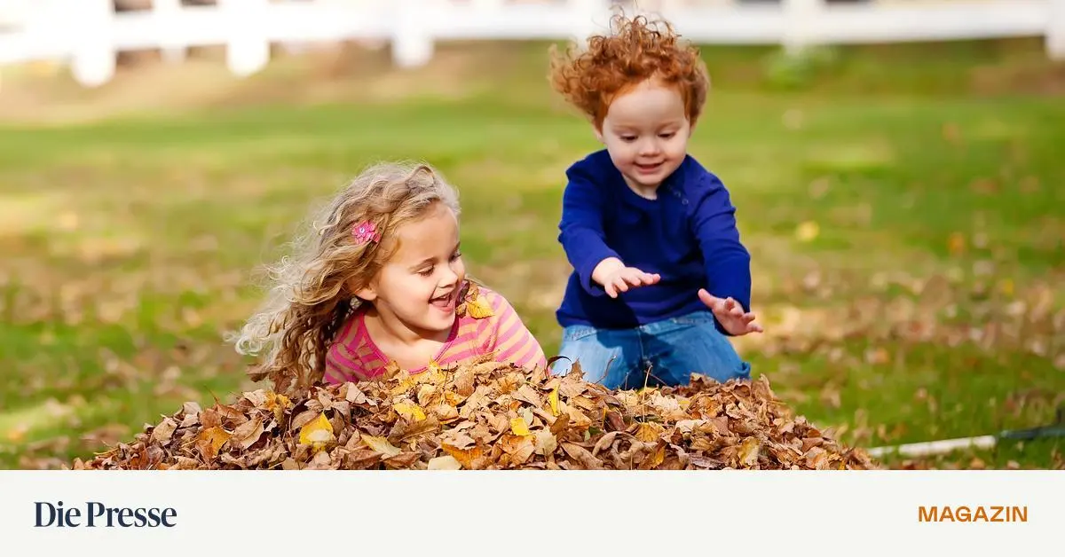 Rechen-m-hen-umgraben-F-nf-Gartenmythen-im-Faktencheck-premium-