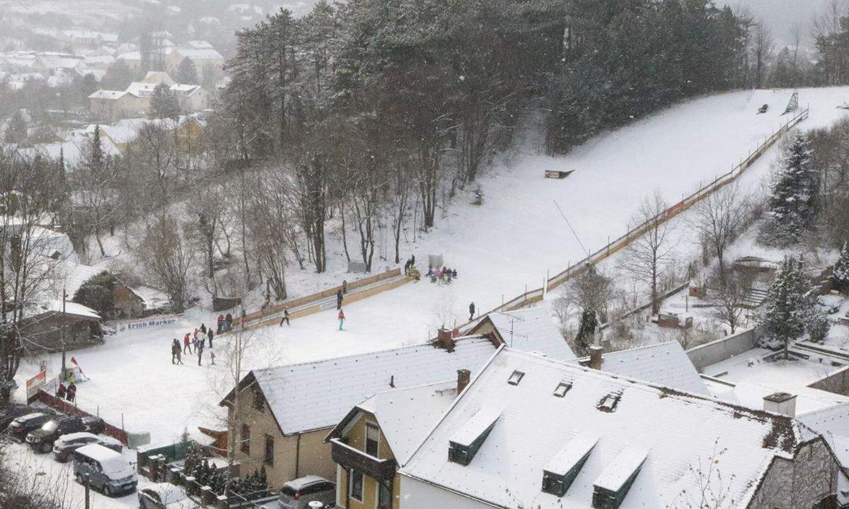 Die Benützung der Schiwiese Markt Piesting ist zwar kostenlos, dafür ein bisschen individuell. Das Förderband und das Flutlicht sind auf Anfrage und bei großem Andrang in Betrieb. Nachdem die Piste mit Kunstschneematten ausgelegt ist, kann sie auch bei geringer Schneelage befahren werden. Betrieben wird die Anlage vom Ski- und Wanderverein Markt Piesting–Dreistetten. 