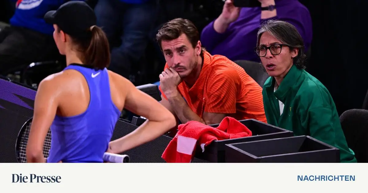 Schiavone-ber-Lilli-Tagger-Sie-ist-ein-reinrassiges-Pferd-premium-