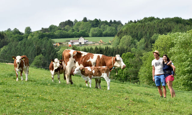 Bernhard und Gabriela Schöffl (mit ihrem Sohn Valentin auf dem Rücken) betreiben auf ihrem Weinkirnhof muttergebundene Kälberaufzucht.