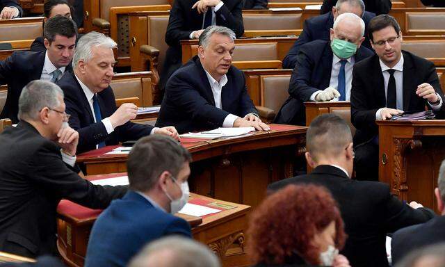 Ministerpräsident Viktor Orbán bei der Abstimmung über das umstrittene Notstandsgesetz, das von Opposition, EU und westlichen Parlamentariern heftig kritisiert wird.