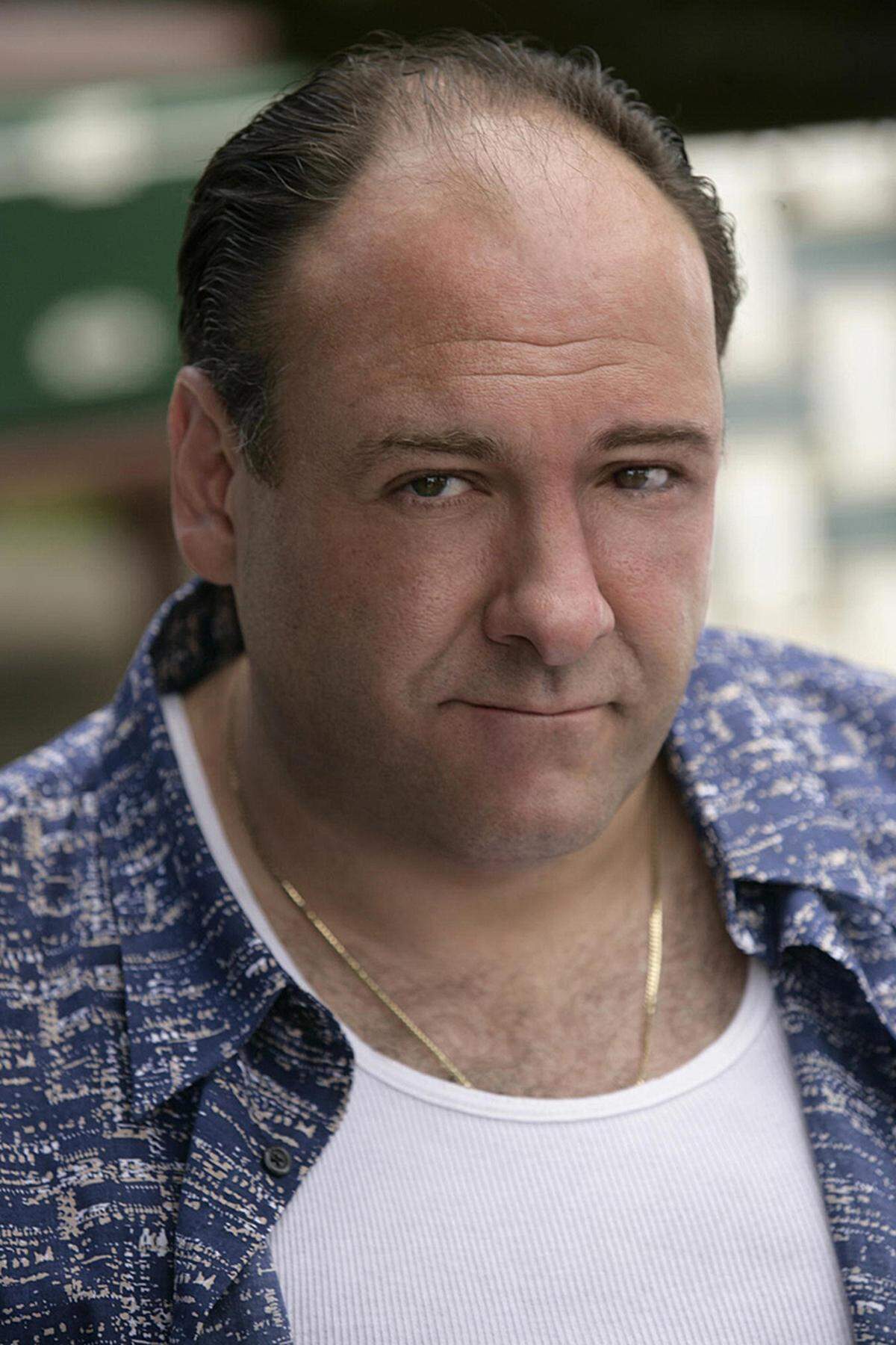 Und dann kamen die "Sopranos". Die Serie lebt von dem Spannungsfeld zwischen Tony Sopranos blutgetränktem Aufstieg auf der Karriereleiter und den Sympathien, die Zuschauer der brüchigen Figur entgegenbringen.