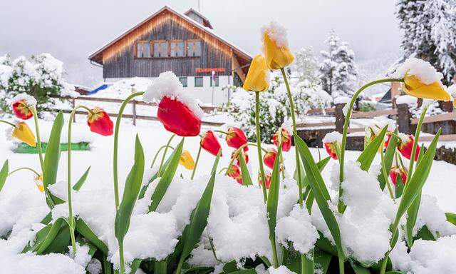 ++ THEMENBILD ++ WINTEREINBRUCH IN VORARLBERG