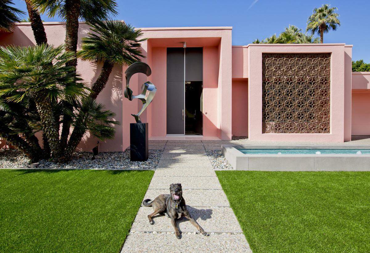 Palm Springs hat sie bereits zwei Fotobücher gewidmet, The Good Life > Palm Springs und Palm Springs > The Good Life Goes on. Mingus Shpall, Australian Shepherd / Catahoula Leopard Dog Mix aus dem Tierheim, Architekten: Albert Frey and Robson Chambers 1964.