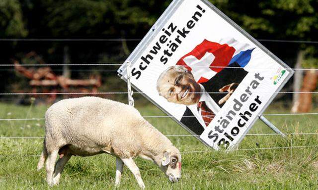 Wahlen Schweiz etabliert sich