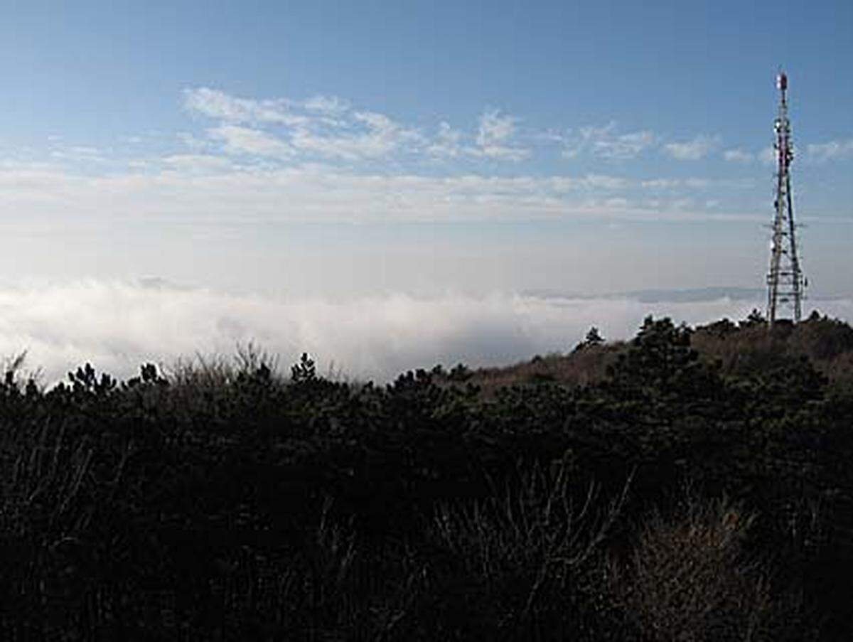 Von der Sinawarte direkt neben dem Schutzhaus bietet sich auch bei Nebel ein schöner Rundblick - im November ist das Meer der Nebelschwaden ringsum ein Augenschmaus.