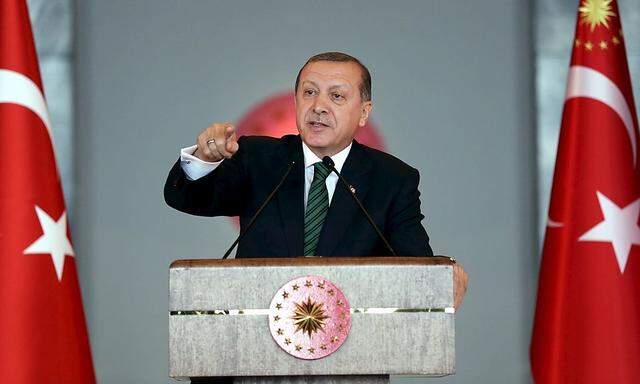 Präsident Recep Tayyip Erdogan geht harsch gegen Kritiker vor.