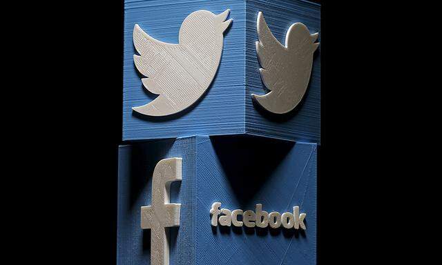 3D-printed Facebook and Twitter logos are seen in this picture illustration made in Zenica