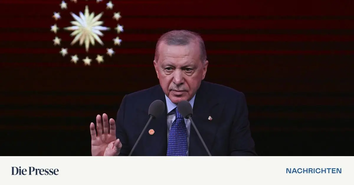 -sterreich-sch-pft-wirtschaftliches-Potenzial-mit-T-rkei-nicht-aus