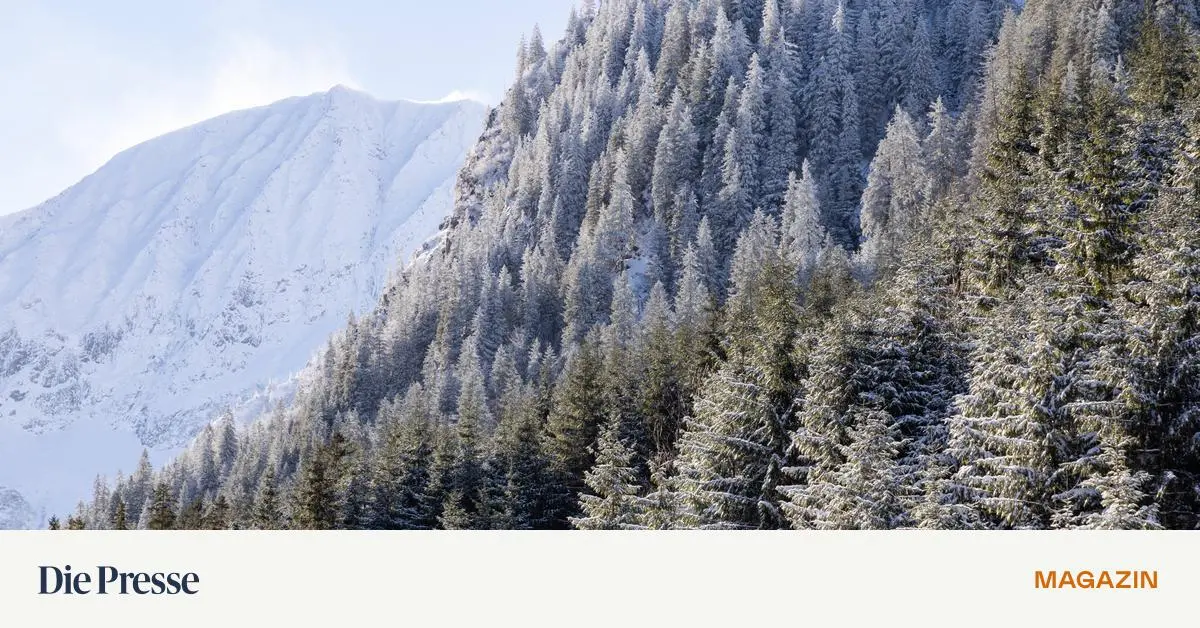  „ Wir dürfen den Wald nicht als letzten Ausweg sehen , sondern müssen ihn aktiv gestalten  – DiePresse . com