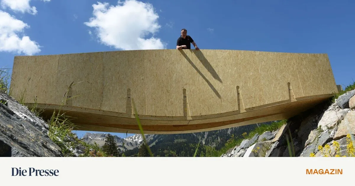 Wir-sind-nicht-auf-dem-Holzweg-sterreich-prescht-bei-Holzforschung-vor-premium-