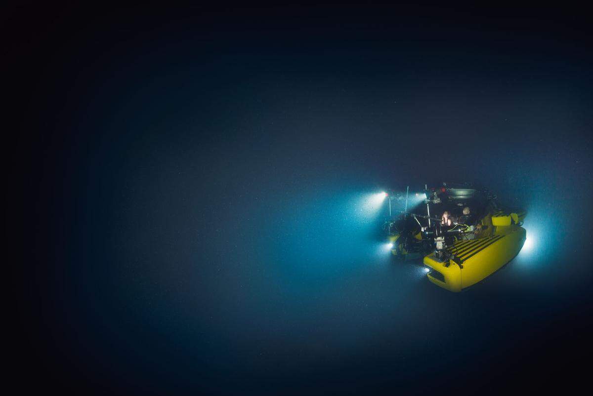 Denn zur Expedition gehört natürlich auch das Abtauchen mit dem U-Boot. Platzangst und Angst vor Tiefe sollte man deshalb nicht unbedingt haben. Und auch nicht vor ungeheuerlichen Meereskreaturen. Immerhin gelang es mit der Alucia den ersten Riesenkalmar zu filmen.    