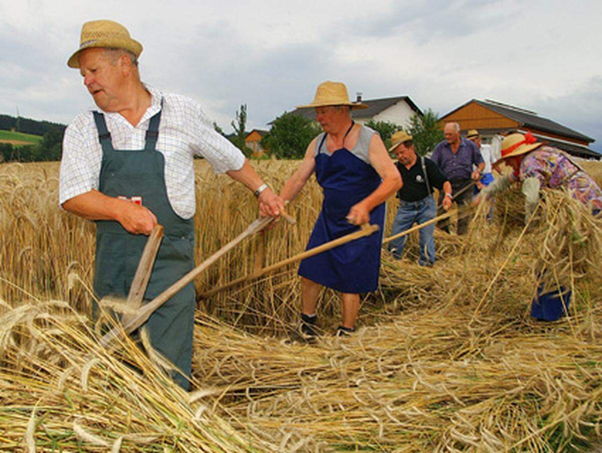 "Es ist kein Herr so hoch im Land, der nicht lebt vom Bauernstand" - dieses alte Sprichwort ist in Österreich noch fest verankert: 87 Prozent vertrauen den Landwirten, europaweit sind es 75 Prozent.