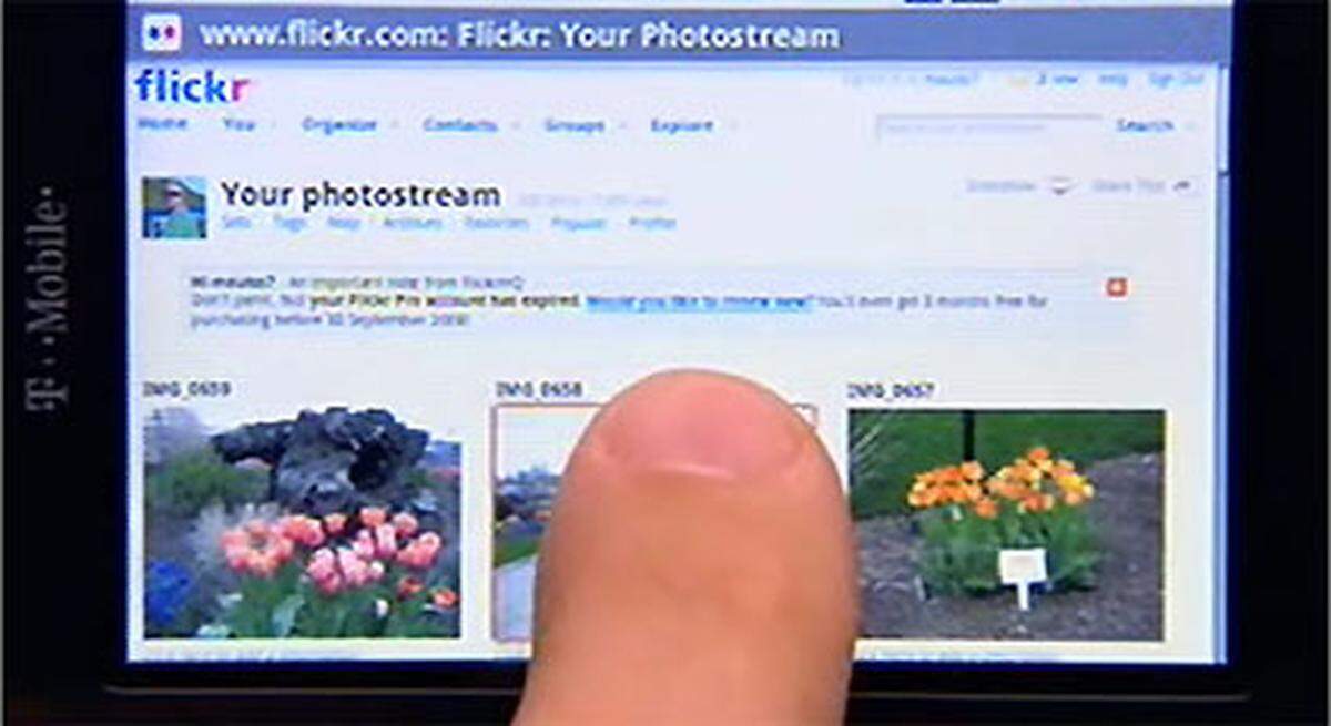 Flickr-Bilder können mit einem Fingertapser per Mail versandt, oder in einen Blog eingestellt werden.