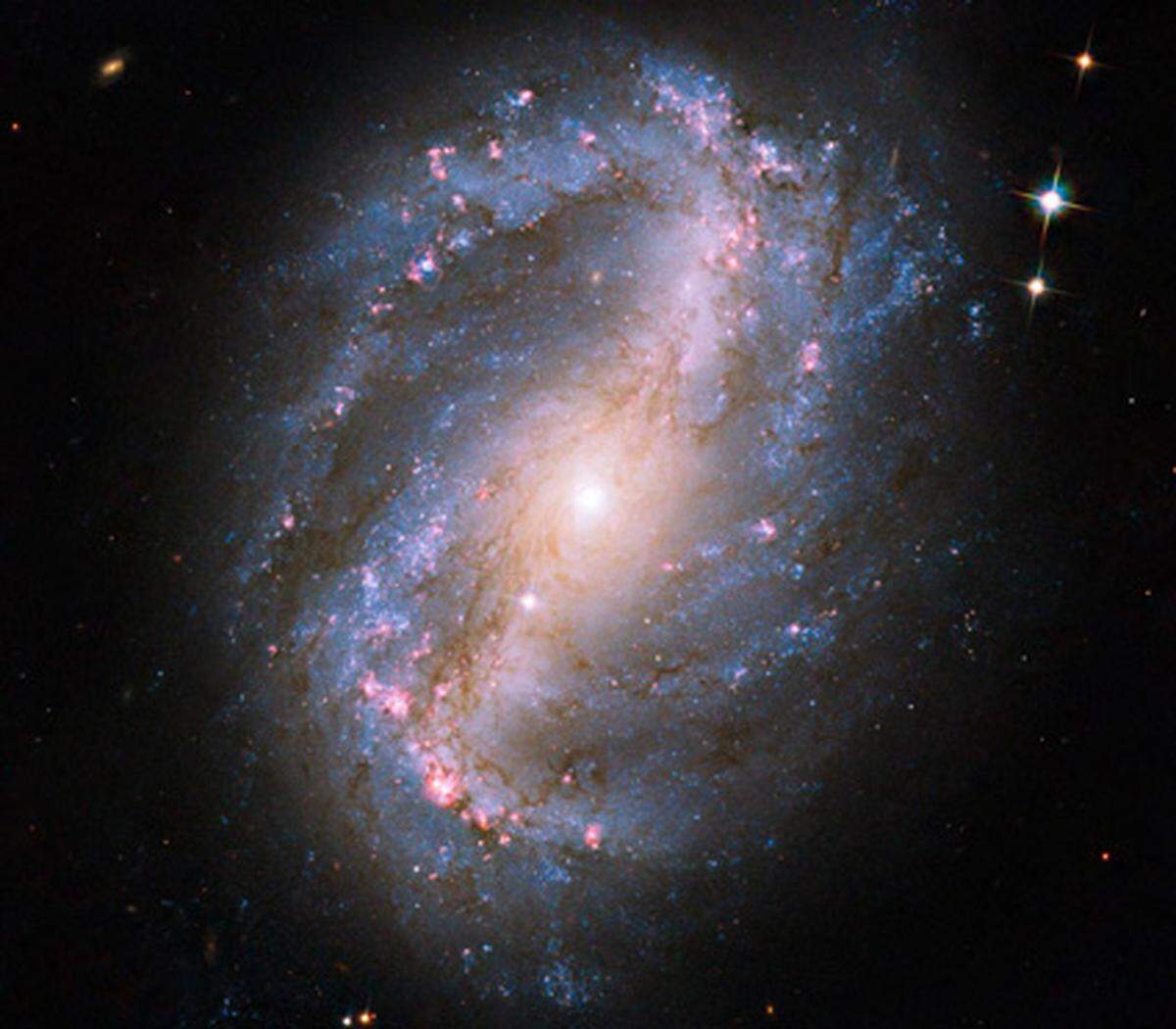 Die Spiralgalaxie NGC 6217 war das erste Motiv, das mit Hubbles im Mai reparierter Advanced Camera for Surveys aufgenommen wurde. Sie liegt sechs Millionen Lichtjahre entfernt von der Erde im Sternbild des Großen Bären.
