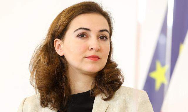Alma Zadić äußerte sich in Videobotschaft.  