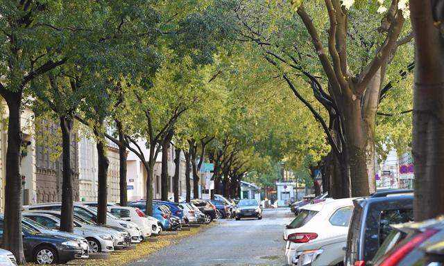 Mehr Bäume und mehr Grün, weniger Verkehr in der Stadt: Eine visionäre Stadtgestaltung macht es möglich. 