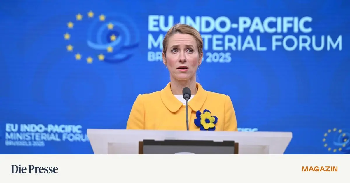 Trumps-Plan-f-r-Ukraine-Das-ist-ein-sehr-gef-hrlicher-Moment-f-r-alle-premium-