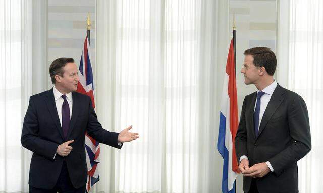 Dutch Prime Minister Rutte speaks with his British counterpart Cameron  in The Hague