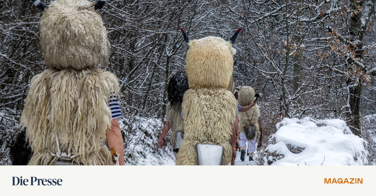 Dresscode-f-r-den-Fasching-Am-Kvarner-tr-gt-man-Schaffell-premium-