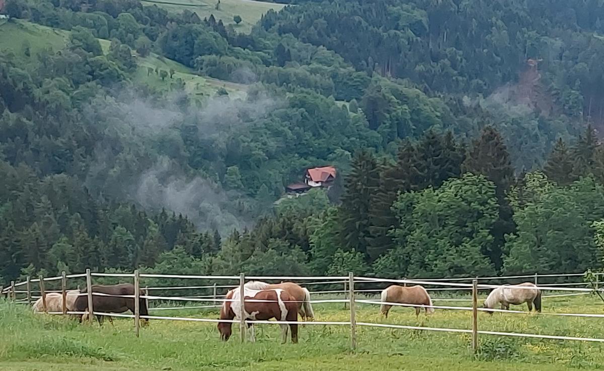 The ring on Reinischkogel.