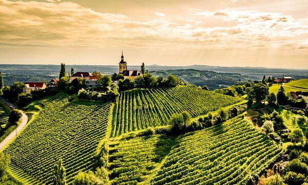 Unterschiedlichste Böden liebt steirischer Wein: Im Südosten (hier: Straden) – vulkanisch.