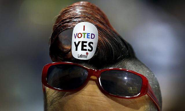 A Yes campaigner pictured at the count centre in Dublin as Ireland holds a referendum on gay marriage