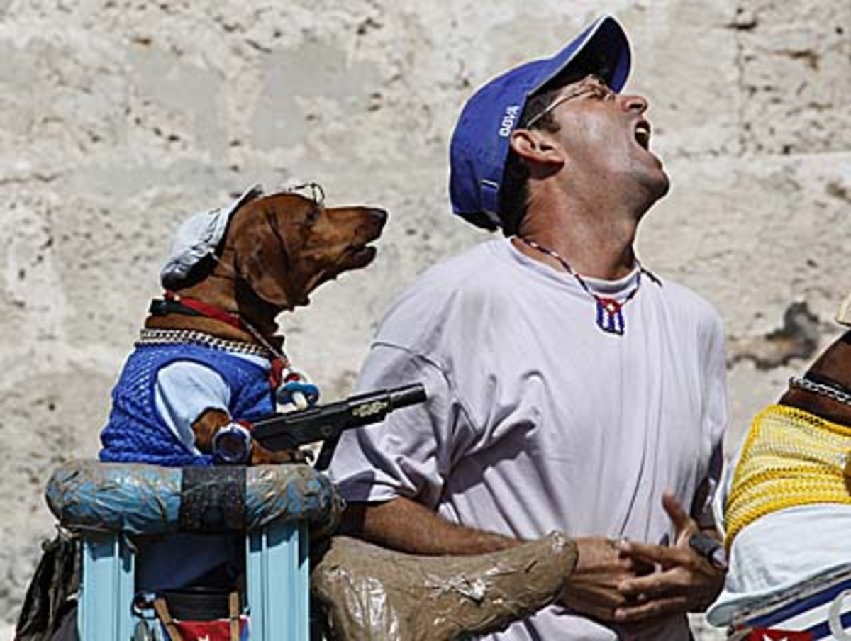 Wie der Herr, so das G'scher, heißt es im Volksmund. Das gilt nicht nur für das Gesinde, sondern offenbar auch für Hunde.