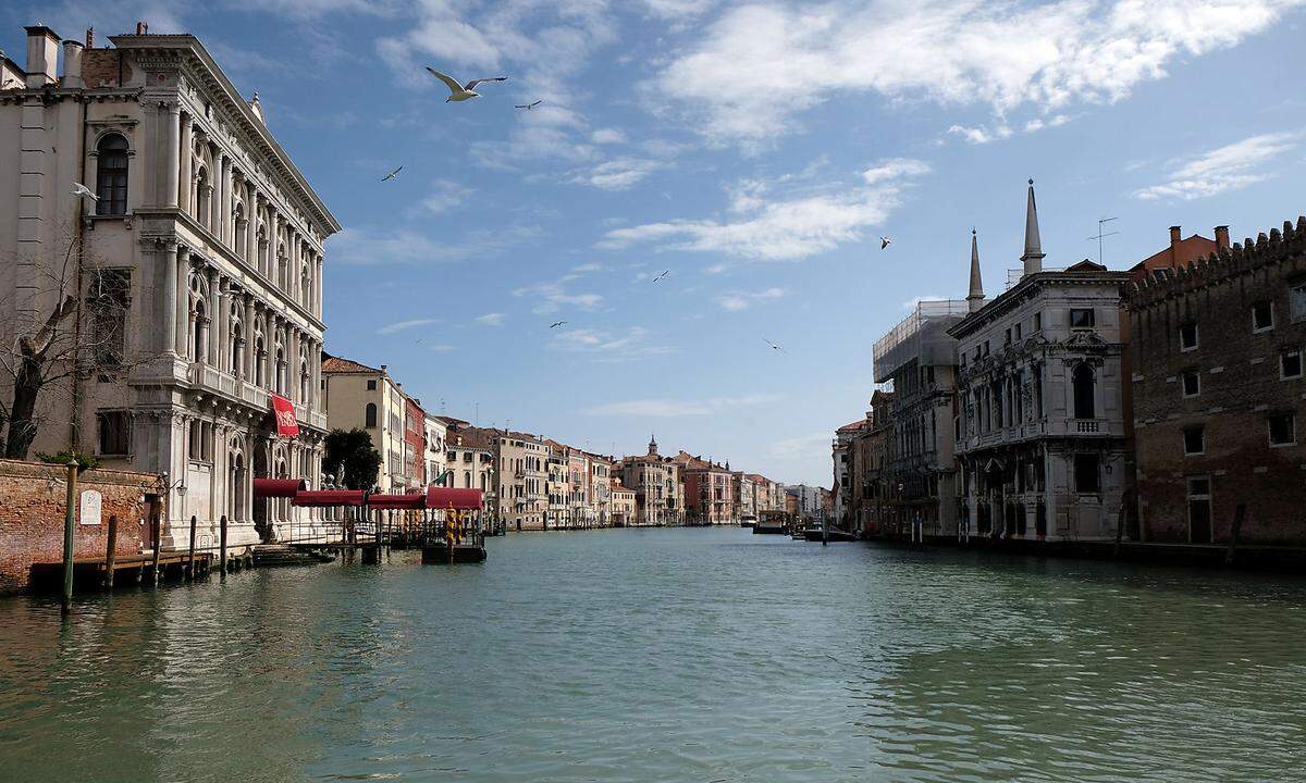 Seit einigen Wochen dürfen die Menschen in Venedig auch nicht mehr rausgehen. Der Canale Grande scheint die Auszeit zu nutzen. Das erste Mal schimmert seit langem das Wasser blau-grün.