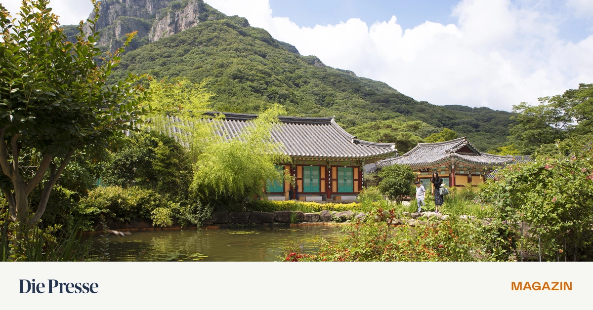 Zen-und-Zukunft-S-dkorea-kann-beides-premium-